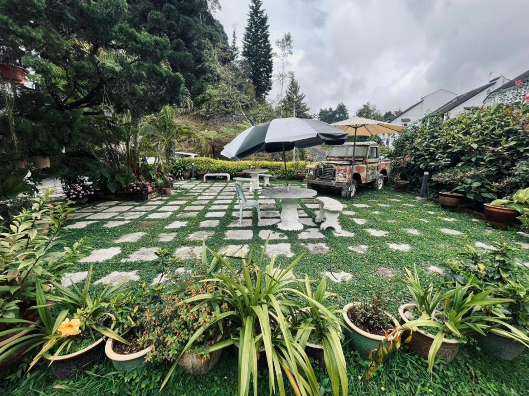 Big Dreams Garden Stay Tanah Rata Exterior foto